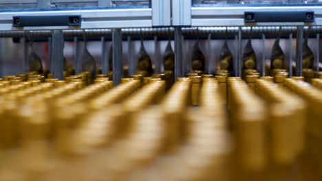 Sealed-Wine-Bottles-On-The-Conveyor-Belt-In-A-Wine-Bottling-Factory