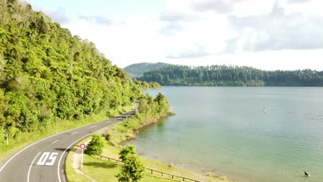 Lago-Azul,-Camino-Del-Bosque-De-Palmeras-Y-Turista-En-Paddle-Bord-4k-Drone-Disparado-En-Nueva-Zelanda