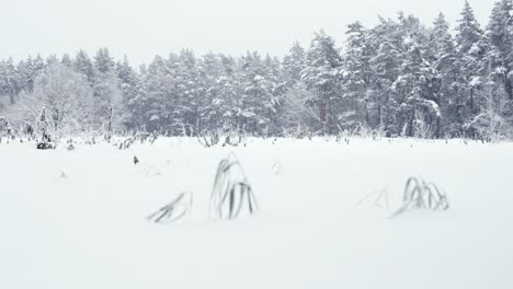Wide-shot-sliding-above-field-covered-with-heavy-white-snow-with-trees-behind