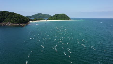 Travessia-da-Fuga-das-Ilhas-swimming-competition,-Sao-Sebastiao,-Brazil---Aerial-view