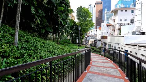 Empty-green-Lush-Tropical-Pathway-in-Public-Garden,-Urban-District,-Singapore,-Dolly