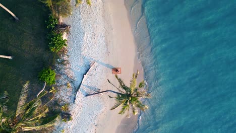 Yoga-girl-on-mat-under-palm-trees-on-dream-beach-with-crystal-clear-turquoise-water