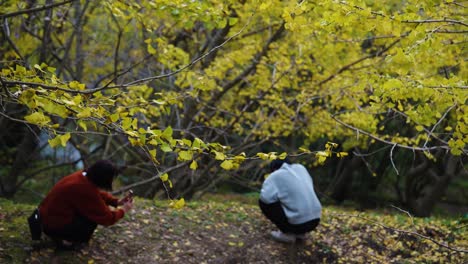 Tilt-Down-to-Japanese-Couple-Taking-Pictures-in-Ginkgo-Grove-in-Tarumizu,-Japan