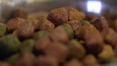 Bowl-full-of-chunks-for-dogs-close-up-shot