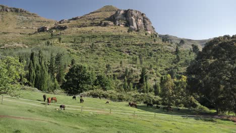 Horse-paddock-on-sloping-green-pasture-below-rocky-mountain-cliff