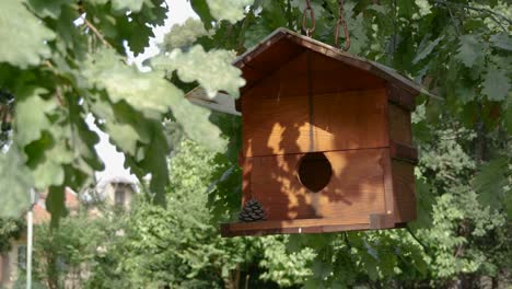 Niedliches-Freihängendes-Vogelhaus-Aus-Holz,-Das-Von-Der-Sonne-Beleuchtet-Wird