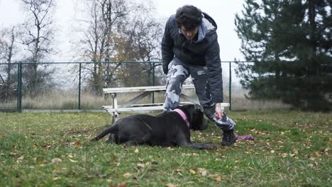 Boy-training-his-grey-stafford-dog-at-the-animal-shelter