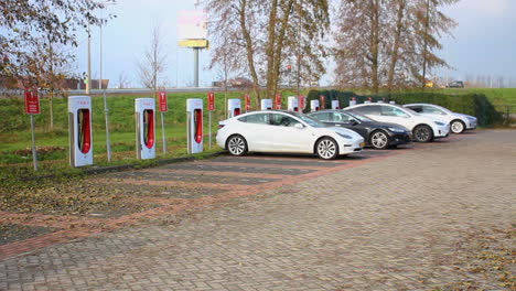 Mehrere-Tesla-Ev-Autos-Stehen-Auf-Parkplatz-Mit-Tesla-Ladegeräten---Mittel