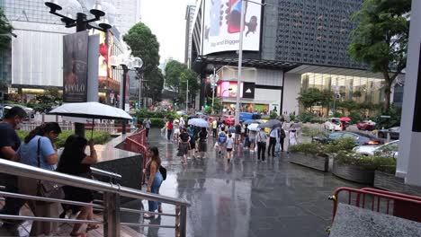 In-Singapore-city,-people-crossing-traffic-lights-on-a-raining-day