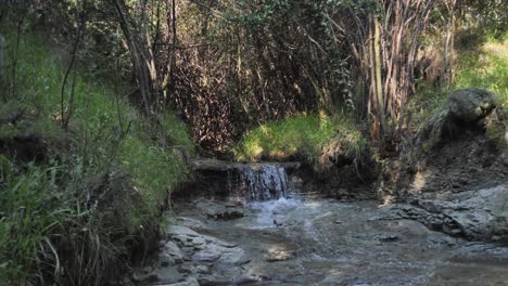 Small-dense-forest-spring-creek-waterfall-onto-bare-bedrock-plane