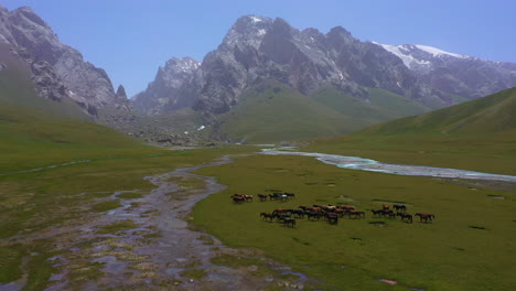 Vista-Aérea-épica-De-Una-Manada-De-Caballos-Salvajes-Deambulando-Por-Un-Pintoresco-Valle-De-Montaña-En-Kirguistán