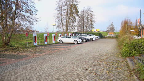 Several-Tesla-EV-cars-standing-in-parking-lot-with-Tesla-chargers