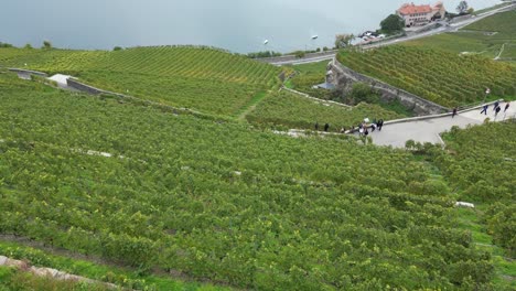 aerial-view-of-a-young-athlete-doing-dips-in-a-swiss-vineyard,-then-reveal-on-geneva-lake