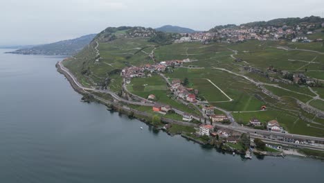 aerial-panoramic:-Lavaux-vineyards-in-Switzerland,-view-from-geneva-lake,-hilly-region