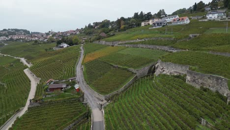 push-in-aerial,-Lavaux-region-and-roads-in-Switzerland,-well-known-for-the-wine