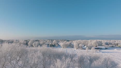 Aerial-establishing-view-of-a-rural-landscape-in-winter,-snow-covered-countryside-fields-and-trees,-cold-freezing-weather,-sunny-winter-day-with-blue-sky,-wide-descending-drone-shot-moving-backward
