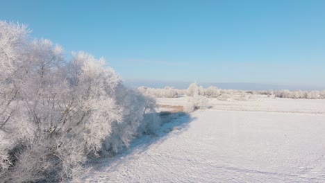 Aerial-establishing-view-of-a-rural-landscape-in-winter,-snow-covered-countryside-fields-and-trees,-cold-freezing-weather,-sunny-winter-day-with-blue-sky,-wide-ascending-drone-shot-moving-forward