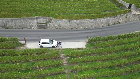 push-in,-aerial:-a-road-in-Lavaux,-well-known-region-for-wine-and-vineyard,-Switzerland