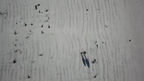 top-aerial-view-of-two-people-with-their-shadows-walking-on-sand-in-Connemara,-Ireland