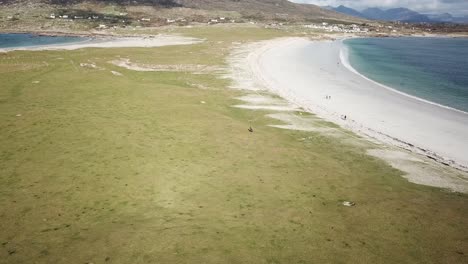aerial-tilt-up:-meadows-and-sandy-beach-in-Connemara,-Ireland,-atlantic-ocean-shore