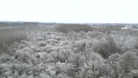 Aerial-footage-of-a-forest-covered-in-frost-after-the-first-cold-of-the-winter-season