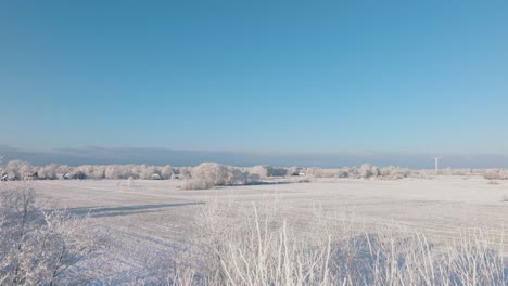 Aerial-establishing-view-of-a-rural-landscape-in-winter,-snow-covered-countryside-fields-and-trees,-cold-freezing-weather,-sunny-winter-day-with-blue-sky,-wide-ascending-drone-shot-moving-forward