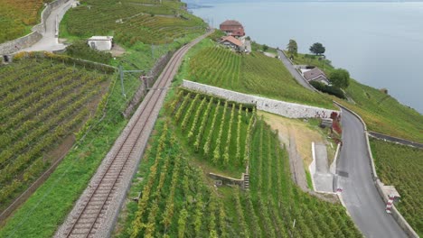 aerial-view-of-Lavaux-vineyards,-train-rails-and-roads