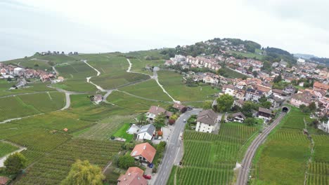 Vista-Aérea-De-Algunos-Pueblos-En-Lavaux,-Suiza,-Conocido-Por-Los-Viñedos