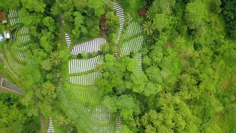 Aerial-view-of-bare-forest-used-for-vegetable-plantation-land