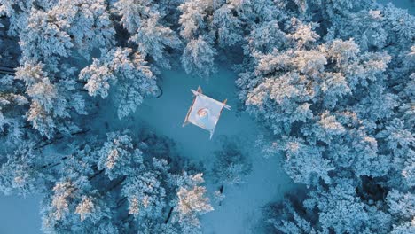 Aerial-birdseye-footage-of-trees-covered-with-snow,-sunny-winter-day-before-the-sunset,-golden-hour,-Nordic-woodland-pine-tree-forest,-Baltic-sea-coast,-wide-top-down-drone-shot-moving-forward