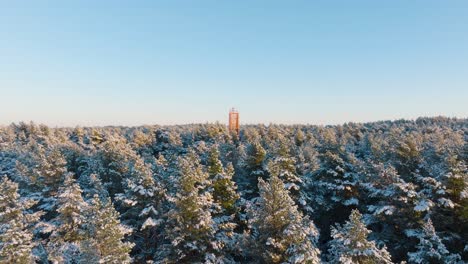 Aerial-footage-of-trees-covered-with-snow,-sunny-winter-day-before-the-sunset,-golden-hour,-Nordic-woodland-pine-tree-forest,-Baltic-sea-coast,-red-lighthouse,-wide-drone-shot-moving-forward-low