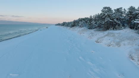 Aerial-footage-of-beach-and-trees-covered-with-snow,-sunny-winter-day-at-the-sunset,-golden-hour,-Nordic-woodland-pine-tree-forest,-Baltic-sea-coast,-wide-ascending-drone-shot-moving-forward