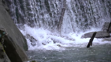 slow-motion-of-water-falling-through-a-void-in-a-Swiss-forest-and-landing-on-rocks