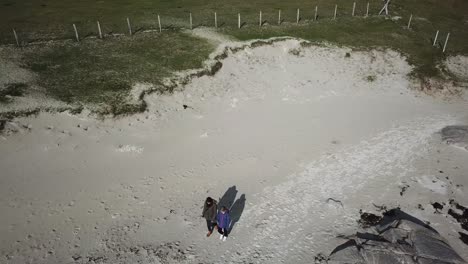 aerial-view,-two-people-walk-on-a-sandy-beach-in-Connemara,-Ireland,-next-to-fields