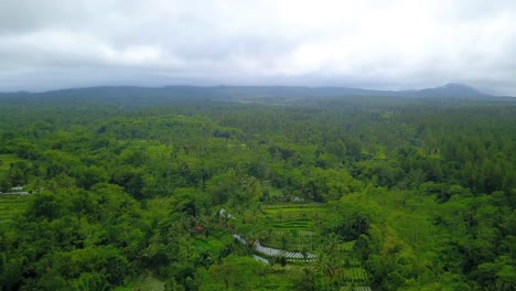 Aerial-view-of-wild-nature-of-rain-forest-and-plantation