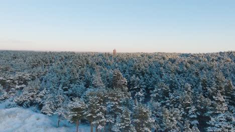 Aerial-footage-of-trees-covered-with-snow,-sunny-winter-day-before-the-sunset,-golden-hour,-red-lighthouse,-Nordic-woodland-pine-tree-forest,-Baltic-sea-coast,-wide-drone-shot-moving-forward