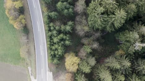 Drohnenflug-über-Wald-Und-Straße-Mit-Vogelperspektive