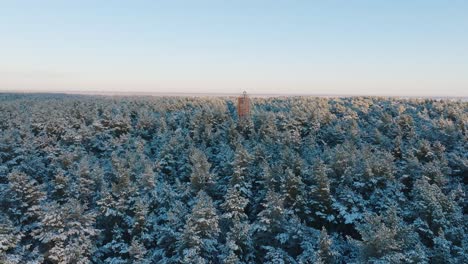 Aerial-footage-of-trees-covered-with-snow,-sunny-winter-day-before-the-sunset,-golden-hour,-Nordic-woodland-pine-tree-forest,-red-lighthouse,-Baltic-sea-coast,-wide-drone-shot-moving-forward