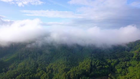 Luftaufnahmen-Des-Waldes-Auf-Dem-Hügel,-Der-Von-Nebel-Umhüllt-Ist