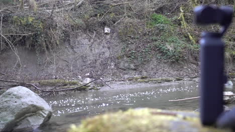 Fluss-In-Einem-Schweizer-Wald-Im-Herbst:-Action-Cam-Liegt-Auf-Einem-Felsen,-Filmemachen