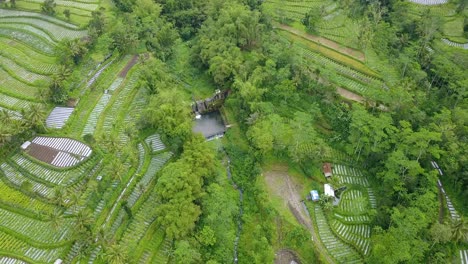 Aerial-view-of-water-reservoir-on-the-middle-of-vegetable-plantation