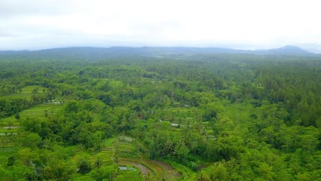 Aerial-view-of-tropical-plantation-and-forest-on-the-slope-of-mountain