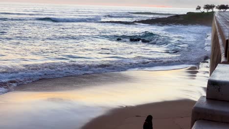 Silhouette-of-woman-taking-selfie-photo-when-walking-her-dog-on-the-beach-during-sunset-with-some-waves-crashing-on-the-shore