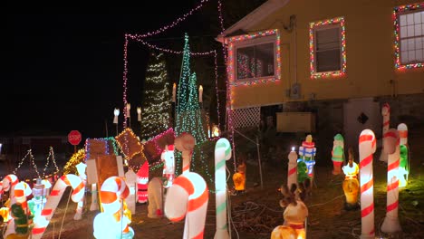 Weihnachtsbeleuchtung-Zeigt-Nachts-Im-Garten-Oder-Hof