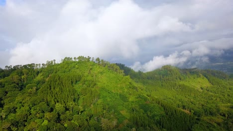 Aerial-shot-of-hill-and-forest-with-cloudy-sky-in-the-morning