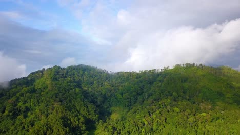 Drone-shot-of-tropical-rain-forest-on-the-hill-with-cloudy-sky