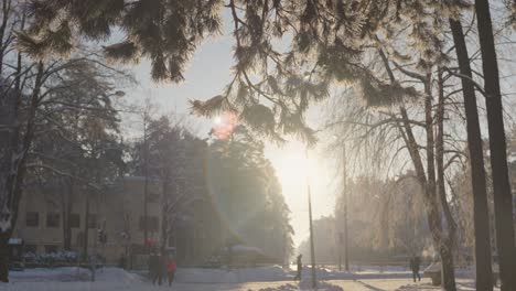 Menschen,-Die-Morgens-In-Zeitlupe-Durch-Einen-Verschneiten-Park-Mit-Malerischem-Sonnenlicht-Gehen