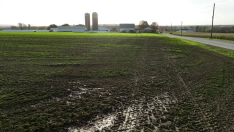 Brown-manure-covers-green-farm-field