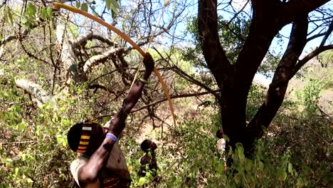 Hombre-Tribal-Africano-Hadzabe-Cazando-Un-Pájaro-En-Un-árbol-Con-Arco-Y-Flecha-En-Arbusto-Africano