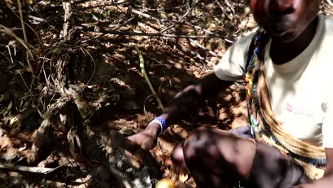 Afrikanischer-Stammesangehöriger,-Der-Mit-Einem-Messer-Hackt-Und-Baobab-Wurzeln-Isst-Und-Sich-Den-Eigenen-Finger-Abschneidet